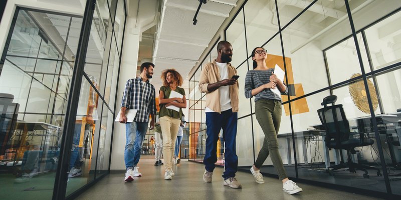 Graduates/ graduate-level apprenticeships